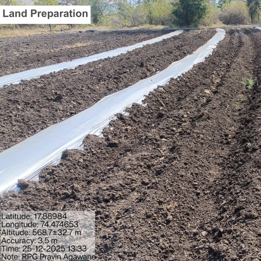 Seeds of Sustainability: RPG Life Sciences’ Go Green Initiative – Planting