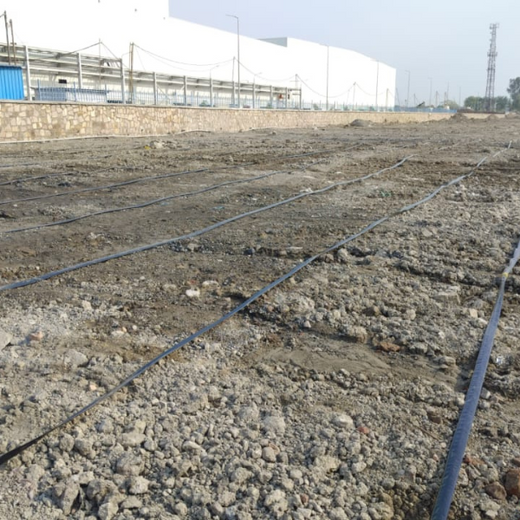 Forest by Design: Godrej Turns Industrial Space into Biodiversity Hub – Planting