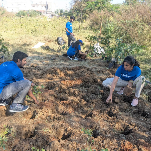 Endowus Go Green Initiative: Cultivating Green Wealth for Generations – Planting