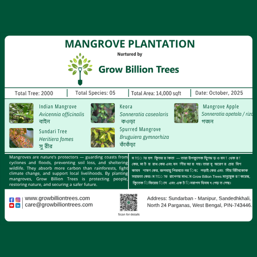 Nature’s Guardians: Mangroves for People, Planet, and Prosperity – 6 months