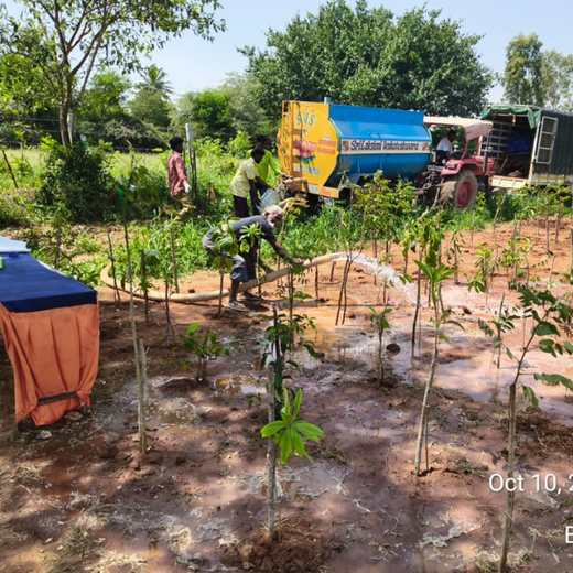 Novo Nordisk: Nurturing Nature, Strengthening Resilience in Bengaluru – 6 months