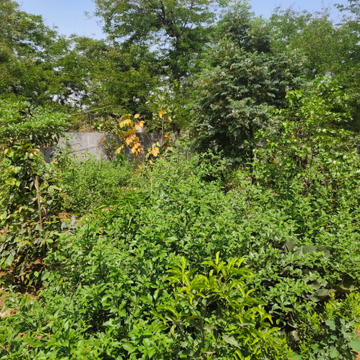 Shaping Tomorrow: Panasonic Green Impact Pledge – 1 year