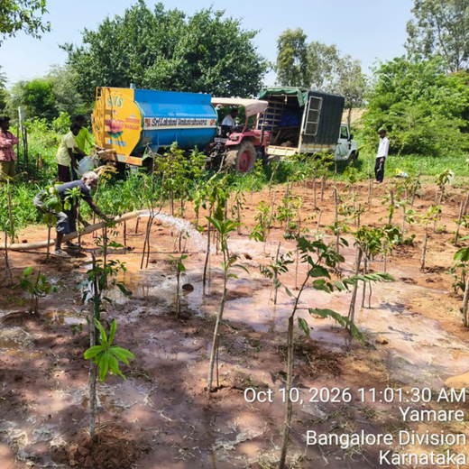 Novo Nordisk: Nurturing Nature, Strengthening Resilience in Bengaluru – 6 months