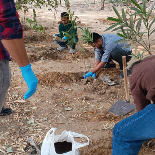 CSR Green Drive 2025: Techno Electric & Engineering’s ESG Plantation – Planting