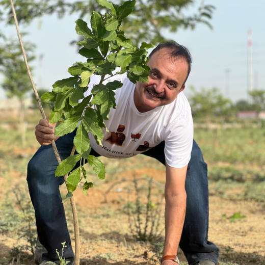 Forest in the Memory of Late Shri Ved Prakash Modi and Late Smt Nirmal Modi – Planting