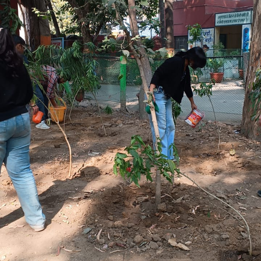 CSR Green Drive 2025: Techno Electric & Engineering’s ESG Plantation – Planting