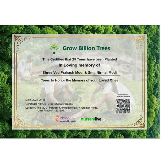 Dr. Jitendra Singh Forest: Planting Seeds of Leadership and Sustainability in Noida – Planting