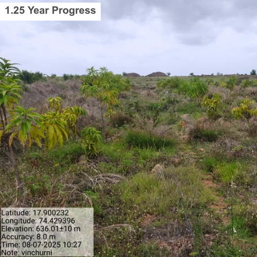 Planting Today for a Greener Tomorrow: IAC Group’s Agroforest Initiative for a Sustainable Future – 1 year