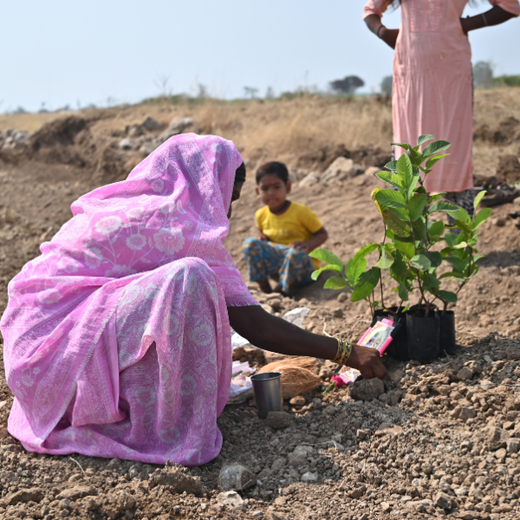 Reforesting with Purpose: We4All’s Tree Plantation for Climate & Livelihood – 6 months