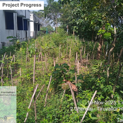 Caterpillar's Legacy: A Thriving Learning forest in Kilambakkam – 2 years