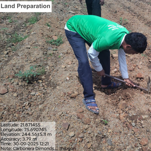Sparkling Sustainability: Carbonera’s Green Initiative – Planting