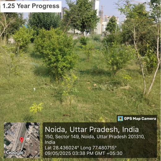 Celebrating Inspiring Women on Women’s Day: Rajpal Singh Duggal’s Urban Forest Initiative – 6 months