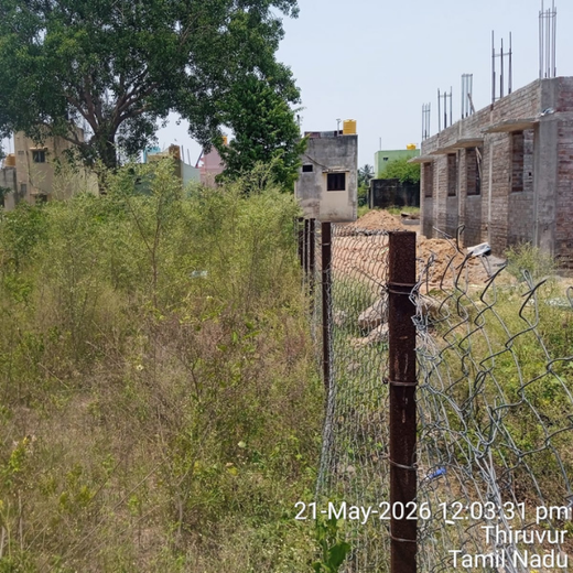 Caterpillar's Legacy: A Learning forest in Sevvapet, Thiruvallur – 1 year