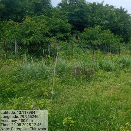 Caterpillar's Legacy: A Learning forest in Sirukadal, Thiruvallur – 1 year