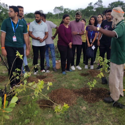 Valmont Structures: Growing Urban Forests, Growing Responsibility – Planting