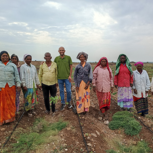 Investa Pumps Cultivates Change: A CSR Initiative for Agroforestry and Sustainability – Planting