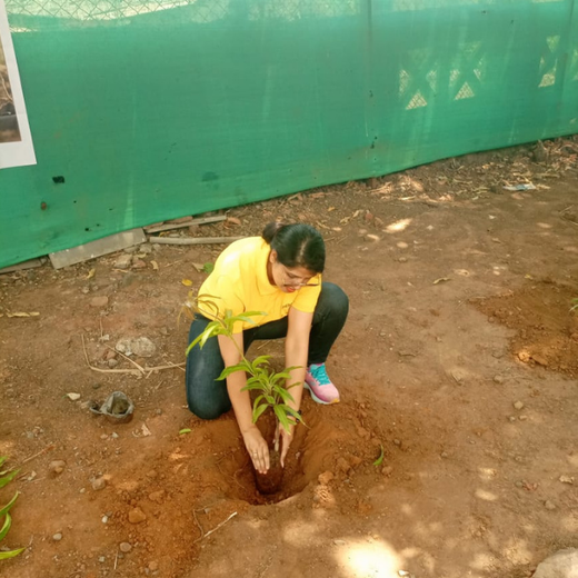 Agroforests in Action: Howden Insurance Employees Make an Impact – Planting