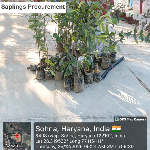 A Green Step This Christmas in Gurgaon by Yatendra Singh – Planting