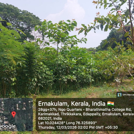 Zafin Goes Green: Cultivating ESG Values Through Urban Forestry – 2 years