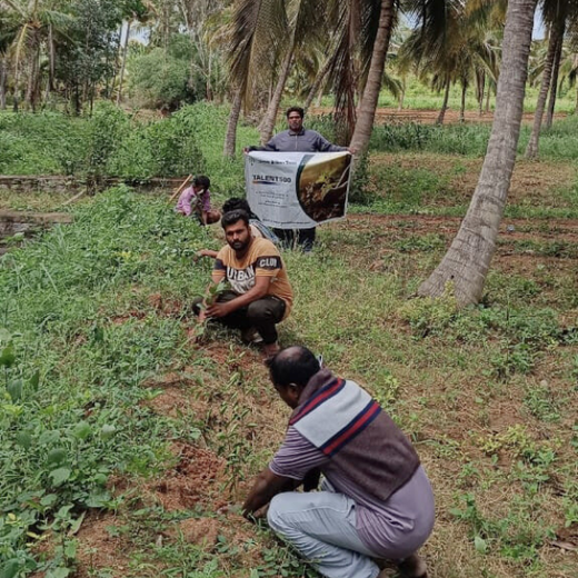 Agroforest Ambitions: Talent500 Plants the Seeds for a Greener Bangalore – Planting