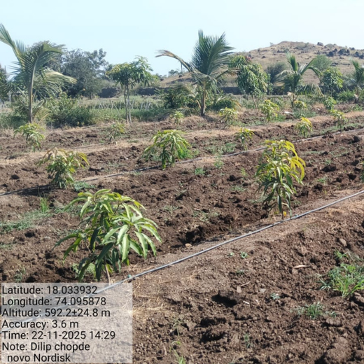 Engineering a Greener Future: NNE’s Agroforest Approach – 1 year