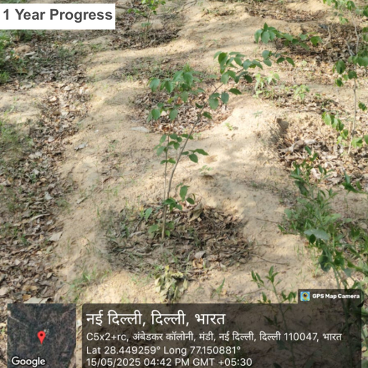 Tech in Bloom: PodTech IO’s Journey to a Greener Future – 1 year