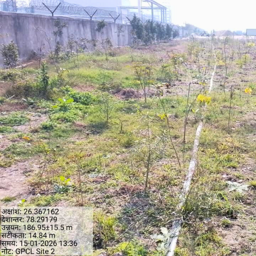 Forest by Design: Godrej Turns Industrial Space into Biodiversity Hub – 2 years