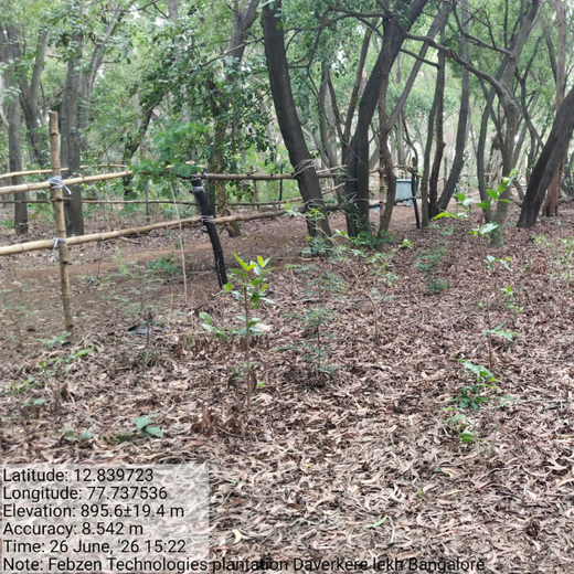 Empowering Green Growth: Fabzen Technologies' Employee-Driven Urban Forest – 1 year