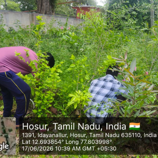 Caterpillar's Legacy: A Thriving Learning forest in Hosur Mathigiri – 2 years