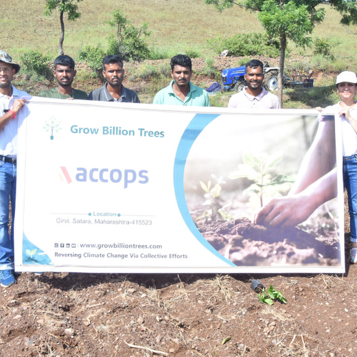 Accops Brings Green Gifts to Diwali: A Tree Plantation Initiative in Agroforestry – 6 months