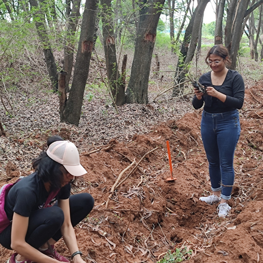 Headout's Commitment to Green Spaces: Empowering Employees with Urban Forests – Planting