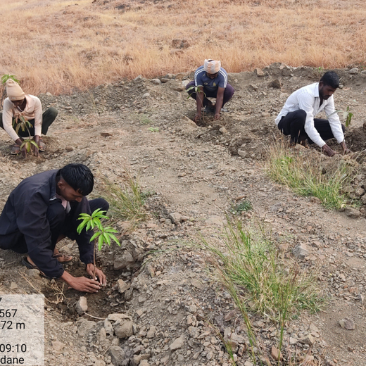 Innovating for the Earth: ALAN's Green Impact Initiative – Planting