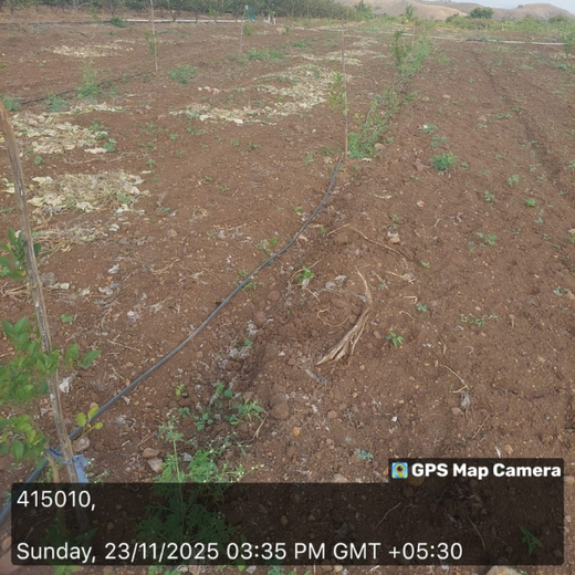 Nature First: Tarasafe’s World Nature Conservation Day Drive – 6 months