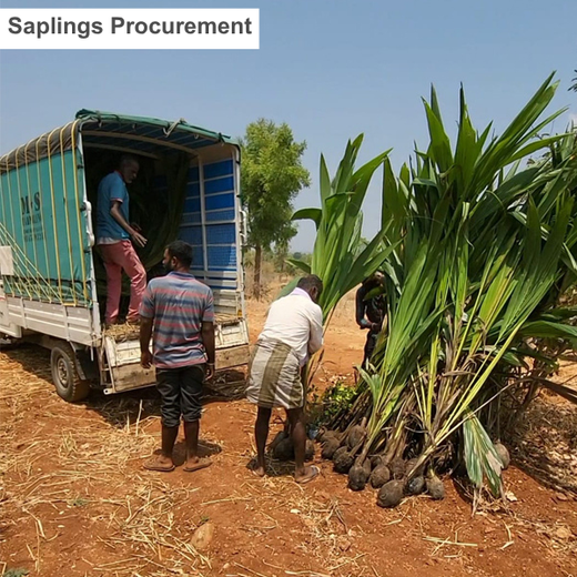 Tally Solutions Private Limited’s Sustainability Initiative – Planting
