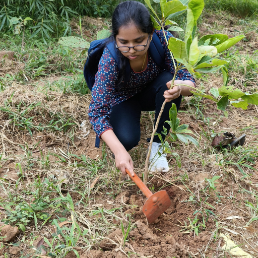 “Cimpress Bangalore's Green Quest: Building Urban Forests, Empowering Employees” – Planting
