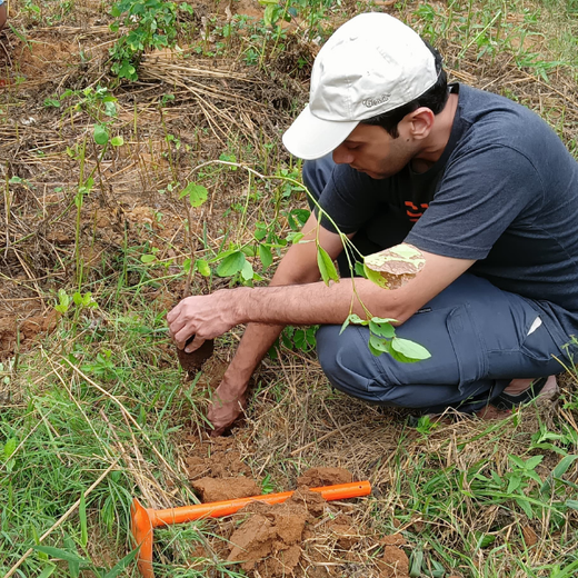Cultivating Urban Change: Zededa India’s Tree Planting Drive – Planting