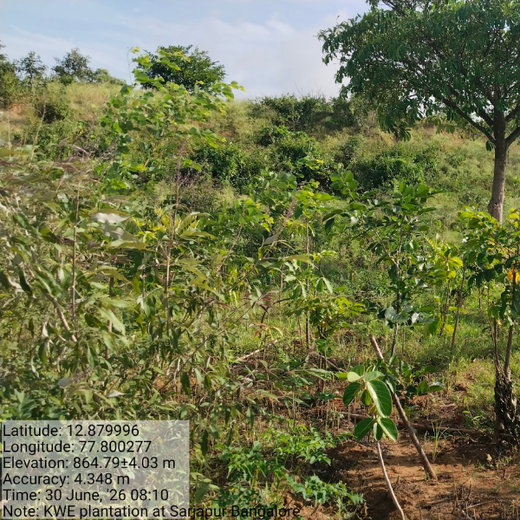 Delivering Sustainability: KWE's Eco-Conscious CSR Journey – 2 years