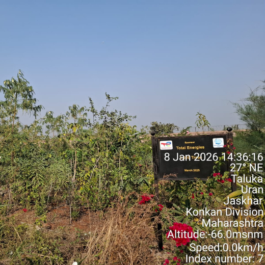Greening the Grid: TotalEnergies’ Urban Forest Initiative – 2 years