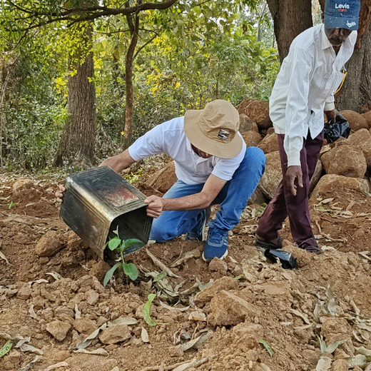 CNBC-TV18, EDF, and Climate Collective Unite for Agroforestry at Climate Tech Convening India 2025 – Planting