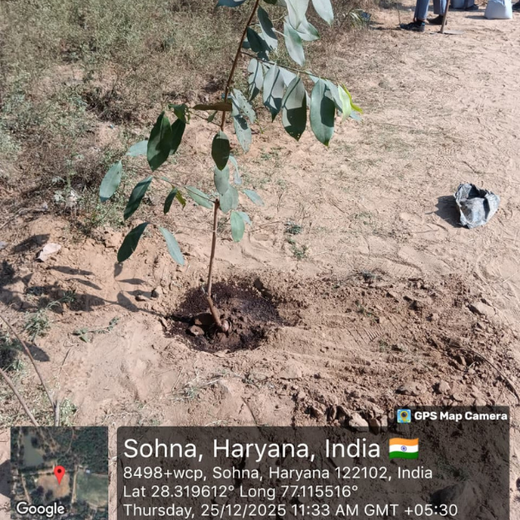 A Green Step This Christmas in Gurgaon by Yatendra Singh – 6 months
