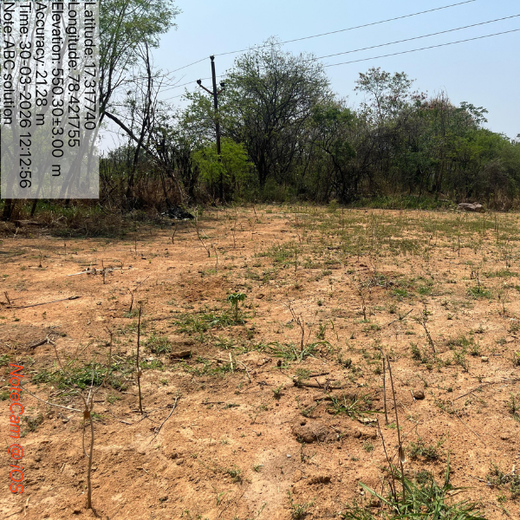 Fit for the Future: ABC Fitness Solutions’ Urban Forest Drive – Planting