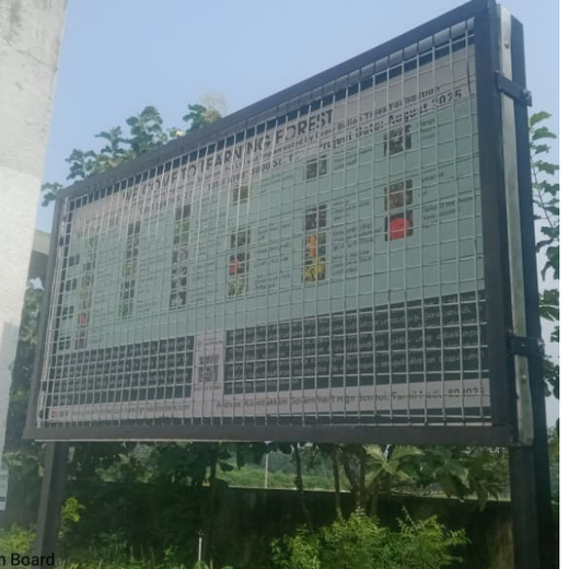 Caterpillar's Legacy: A Thriving Learning forest in Kilambakkam – 1 year