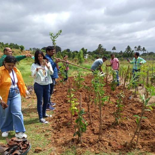 NatWest Digital Services India’s Urban Forest Initiative in Bengaluru – 6 months