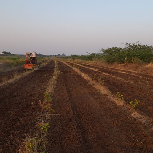Sowing Seeds of Change: The Sajjan Jain Support Trust with Arkade – Planting