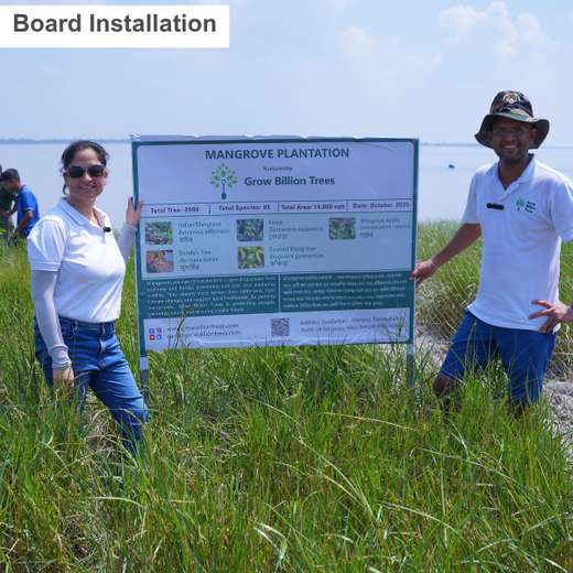 Nature’s Guardians: Mangroves for People, Planet, and Prosperity – 6 months