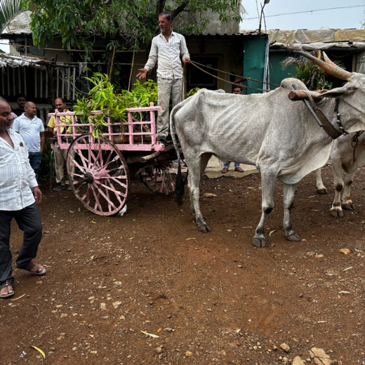 Gensol Goes Green: Agroforestry for Employees in Pune – Planting
