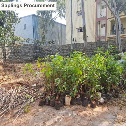 Urban Oasis: Austin Monks’ Green Vision in Bangalore – Planting
