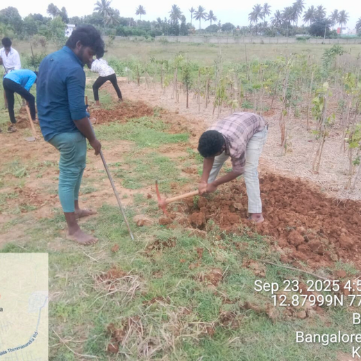 NatWest Digital Services India’s Urban Forest Initiative in Bengaluru – Planting
