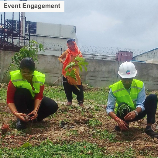 Forest by Design: Godrej Turns Industrial Space into Biodiversity Hub – 6 months