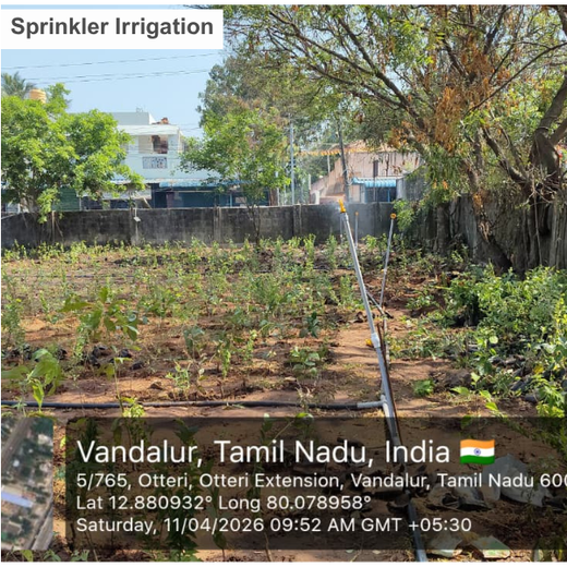 Caterpillar’s Learning Forest: Shaping Green Futures in Vandalur – Planting